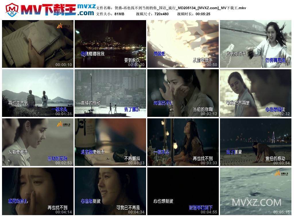 贺燕-再也找不到当初的你_国语_流行_MD205134